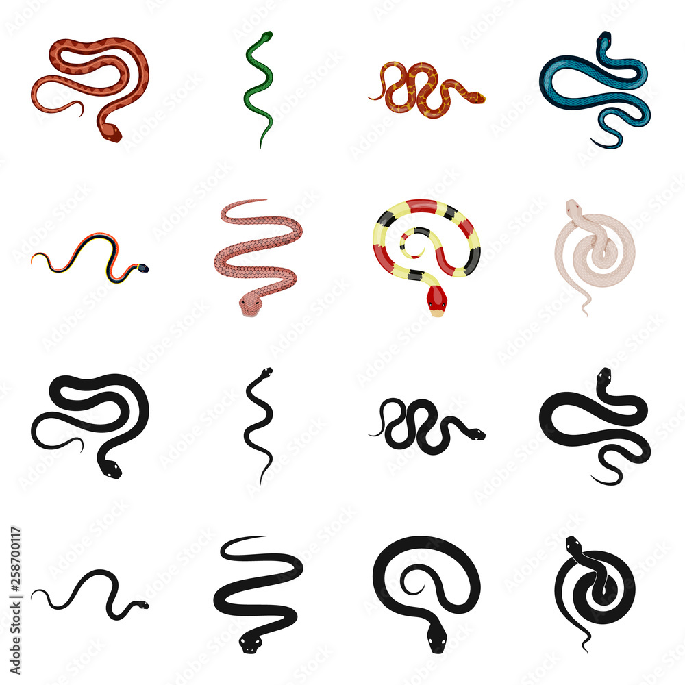 Vector design of mammal and danger icon. Collection of mammal and medicine stock vector illustration. Vector design of mammal and danger icon. Collection of mammal and medicine stock vector illustration.
