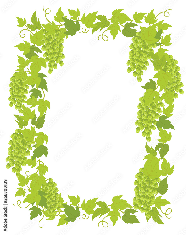 Hop plant frame banner. Hop green leaves and cones. Place for text. Border frame isolated background template. Lupulus humulus. Vector flat Illustration for beer shop or cafe advertising. Hop plant frame banner. Hop green leaves and cones. Place for text. Border frame isolated background template. Lupulus humulus. Vector flat Illustration for beer shop or cafe advertising.