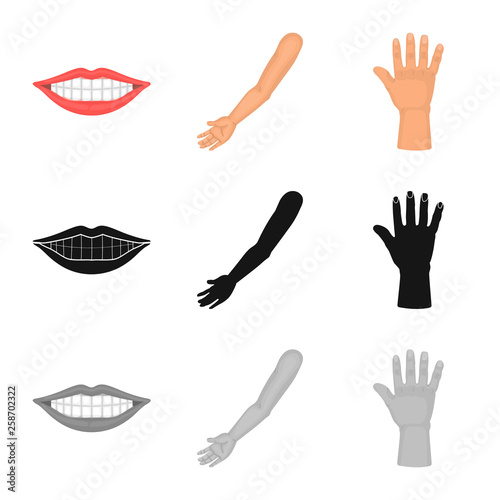 Isolated object of body and part sign. Set of body and anatomy stock vector illustration.