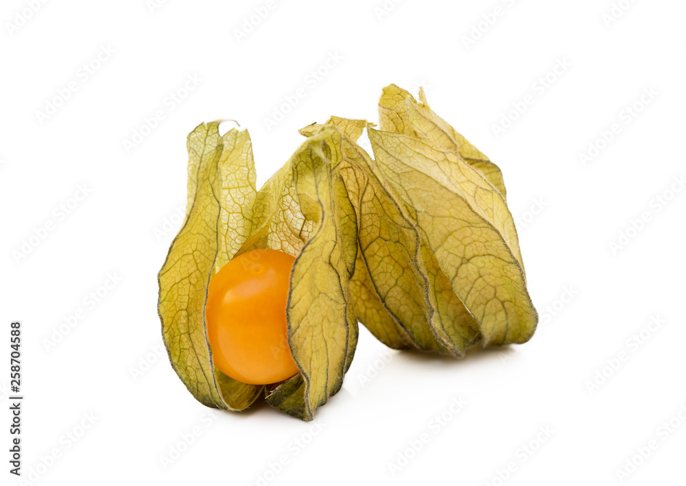 Healthy Cape Gooseberry (Physalis) isolated on white background