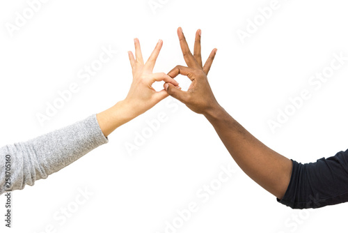 Black and white hands holding. Isolated on white background. Sign Language.	
