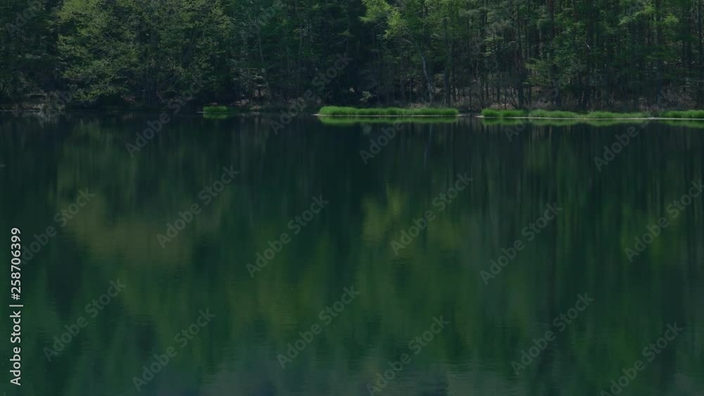 Scenic Pond in Spring (Mishaka Ike Pond in Nagano Pref., Japan) Scenic Pond in Spring (Mishaka Ike Pond in Nagano Pref., Japan)