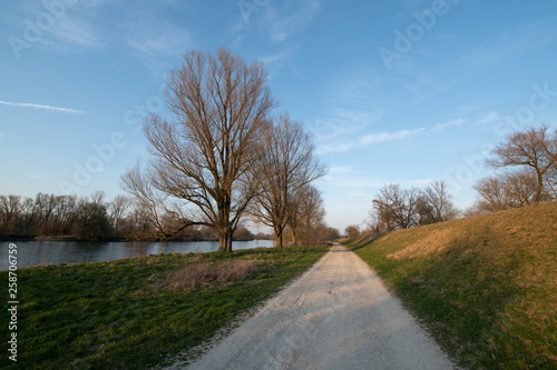 Landschaft Fluss Frühling