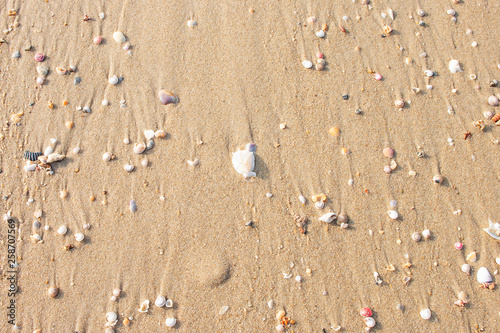 Breaking the shells on the beach is a natural beauty.