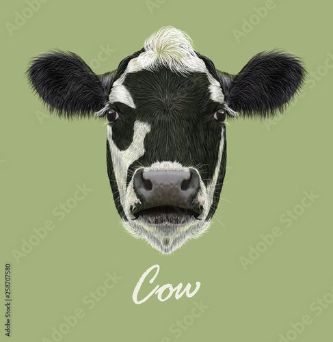 Cow farm animal face. Vector cute agriculture cattle head portrait. Realistic fur portrait of black and white spotted calf isolated on green background.