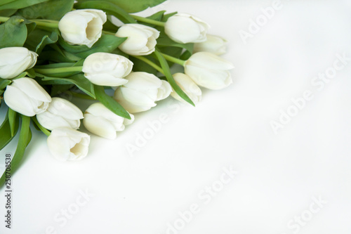 Romantic background festive bouquet of flowers. Beautiful white tulips with leaves. Flower card for the event. Birthday, love, festival. © tanja_krivich