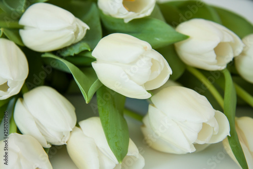 Romantic background festive bouquet of flowers. Beautiful white tulips with leaves. Flower card for the event. Birthday, love, festival.