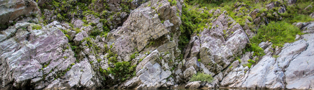 rock with lichen