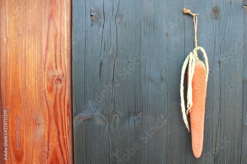 Möhre aus Filz vor dunkelgrüner Holzwand, Ostermotiv photo