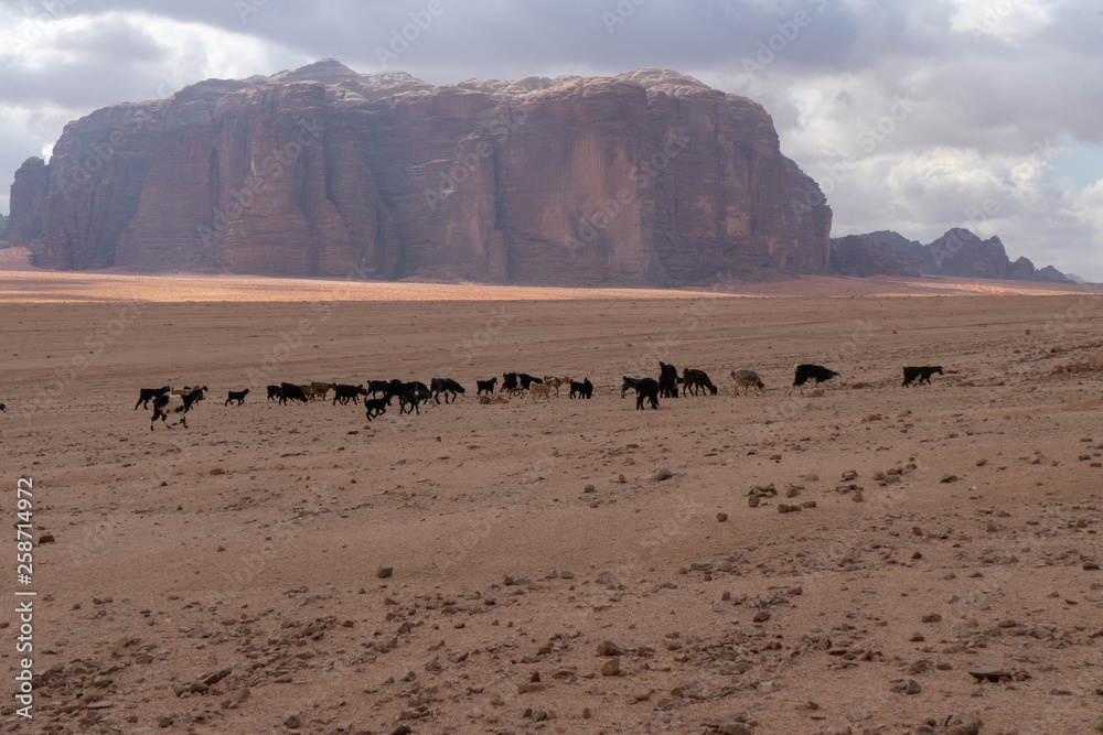 Wadi Rum, Jordanian desert landscape. Wadi Rum, Jordanian desert landscape.