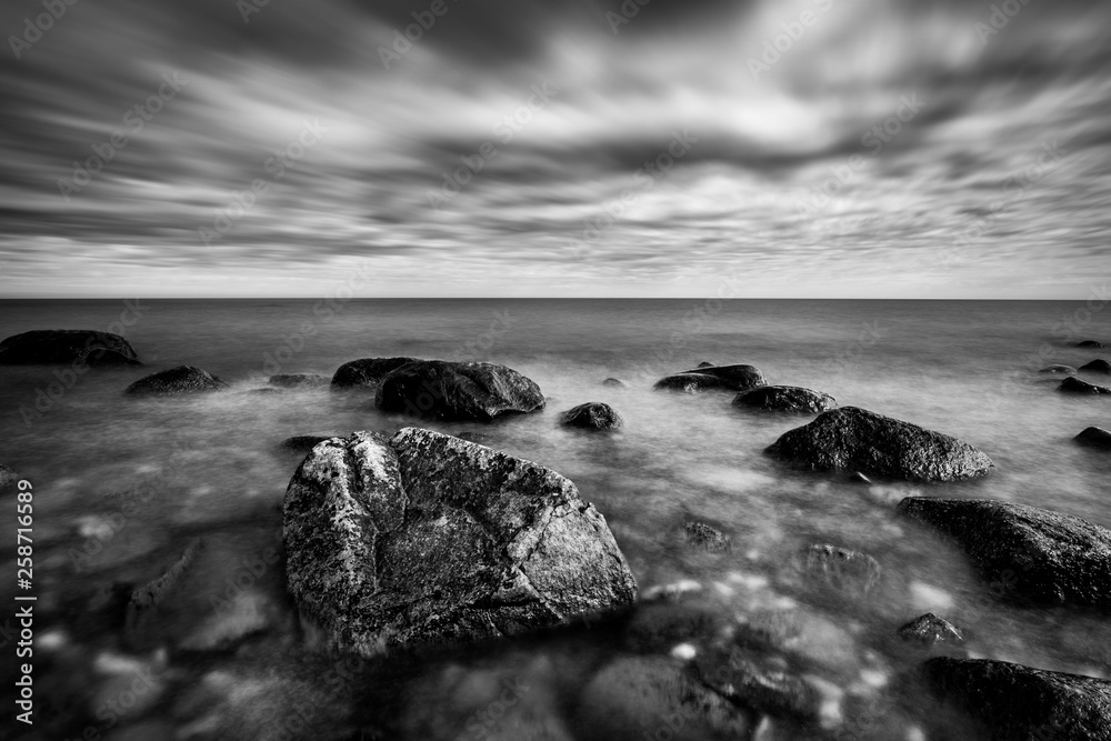 Obraz premium landscape and wildlife