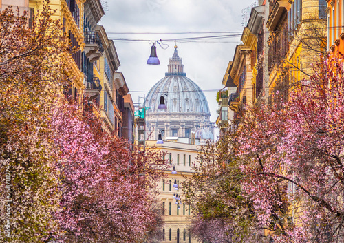 View of Basilica of St. Peter, Italy