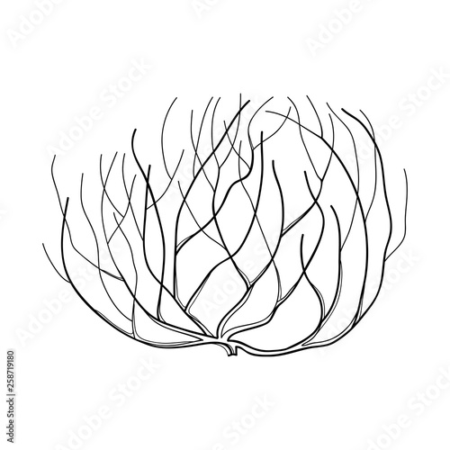 Rolling desert plant Tumbleweed in black isolated on white background.