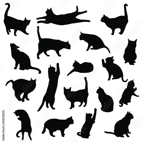 Set vector silhouettes of the cat, different poses, standing, jumping and sitting,  black color, isolated on white background