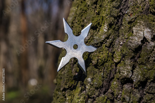 Shuriken (throwing star), traditional japanese ninja cold weapon stuck in wooden background