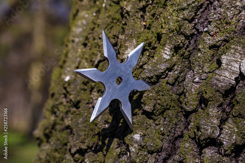 Shuriken (throwing star), traditional japanese ninja cold weapon stuck in wooden background