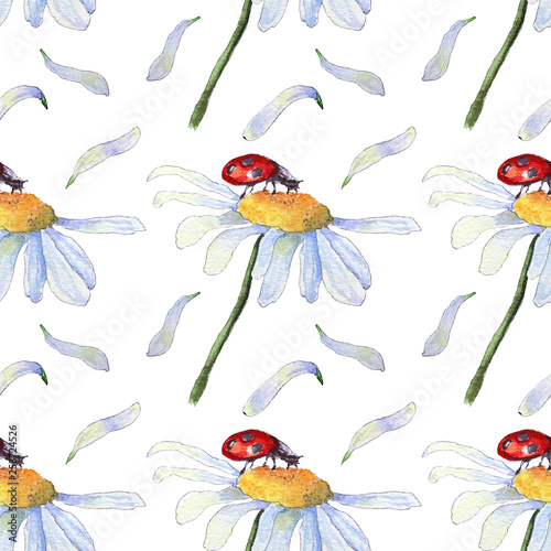 Camomile with ladybug pattern