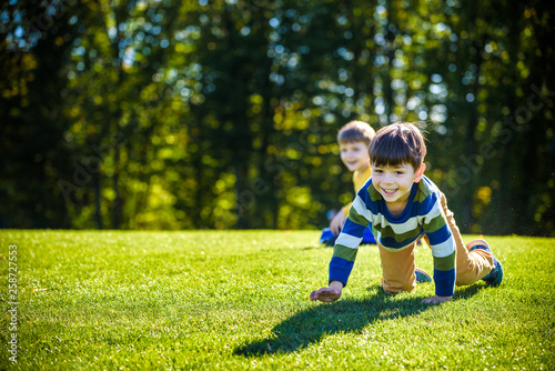 Two happy boys playing on fresh green grass meadow. Tumble and smiling together brothers kids are best friends