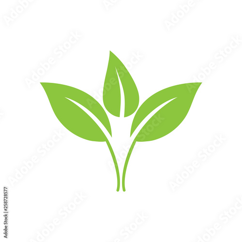 Green leaf  Eco icon. Vector illustration  flat design.