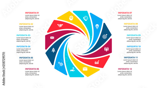 Vector cycle infographic. Diagram with 12 options or steps. Presentation slide.