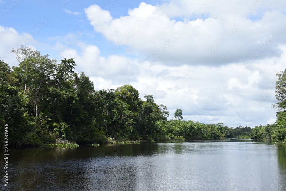 Rio Jari no Município de Vitória do Jari na Amazônia.