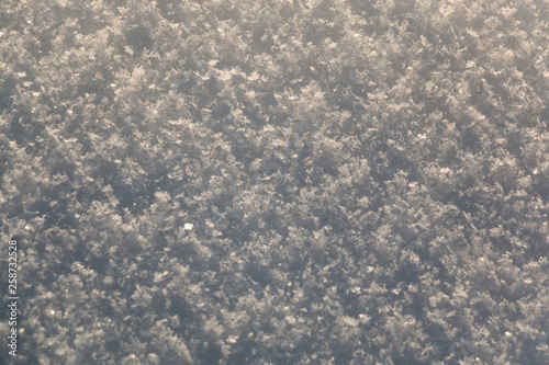 macro of sparkling snow in golden evening sun with shallow depth of field