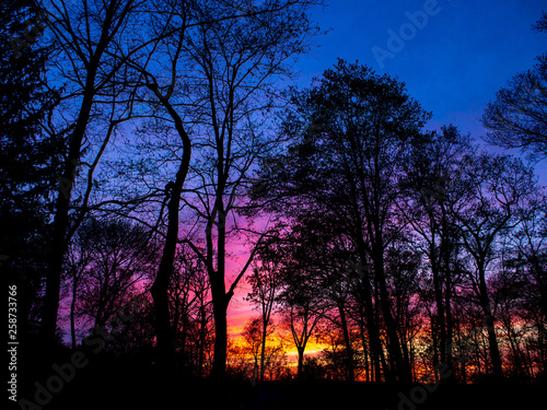 spectacular colorful sunset in the spring