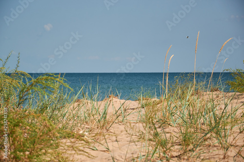 wild beautiful sandy beach in sunly day