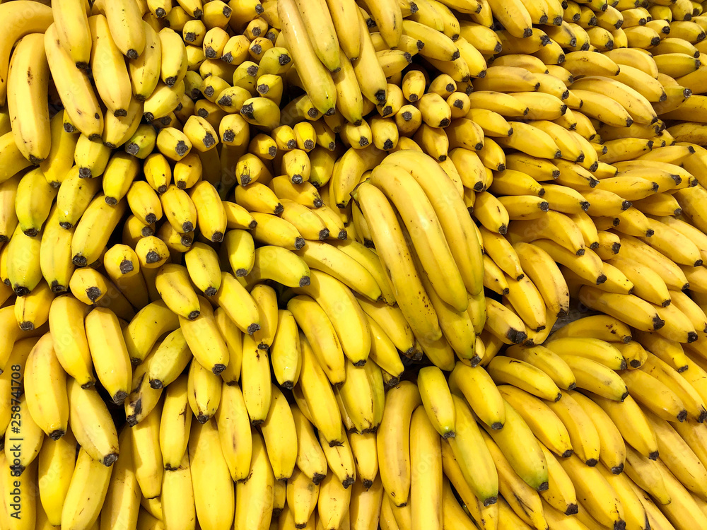 Many fresh yellow bananas in supermarket, food concept background