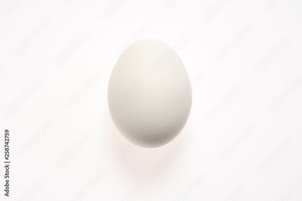 White egg on a white background with shadow White egg on a white background with shadow