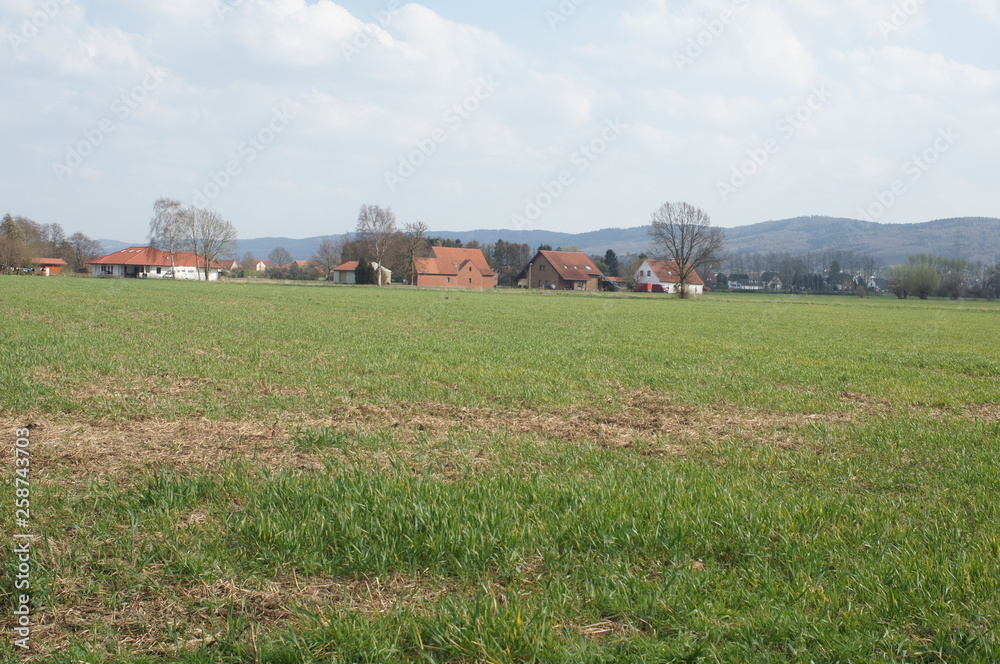 Fototapeta premium landscape, field, sky, grass, green, farm, nature, rural, agriculture, countryside, meadow, summer, blue, country, village, house, clouds, horizon, spring, farmland, 