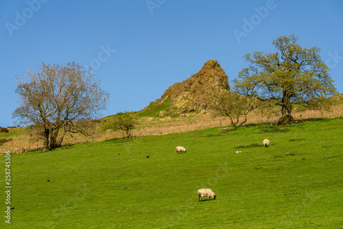 Shropshire landscape near Church Stretton, view towards Hope Bowdler Hill, England, UK photo