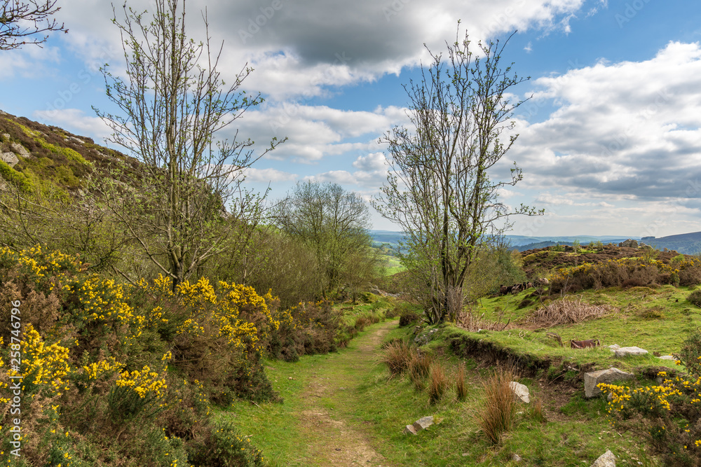 Shropshire landscape at the Nipstone Rock Local Nature Reserve, England, UK
