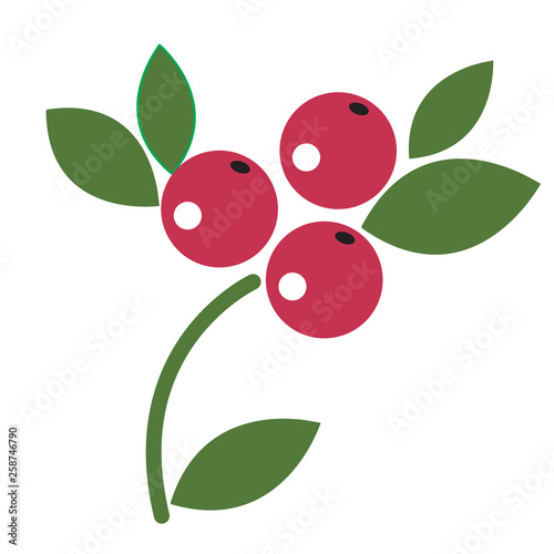Berries flat illustration on white