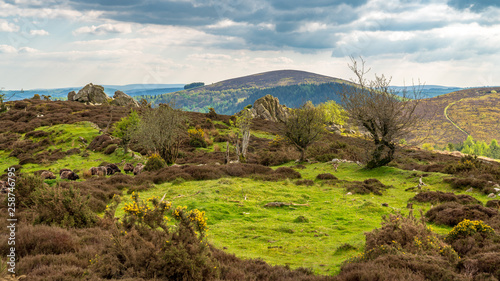 Shropshire landscape at the Nipstone Rock Local Nature Reserve, England, UK photo