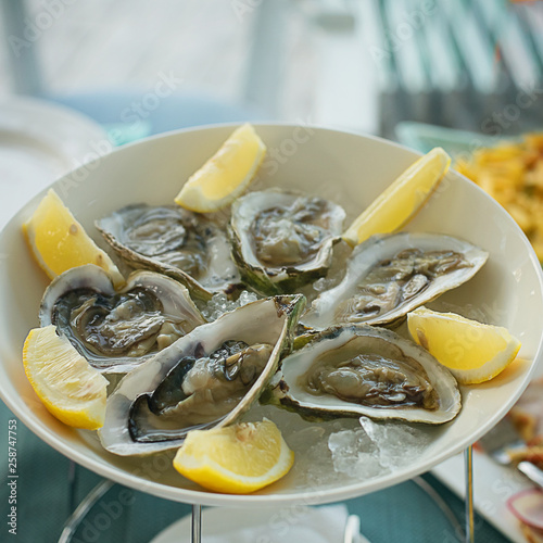 fresh oysters on ice with lemon on a square background