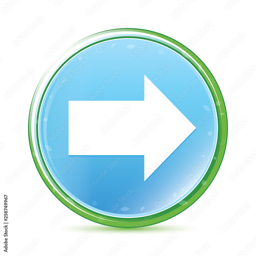 Next icon natural aqua cyan blue round button Next icon natural aqua cyan blue round button