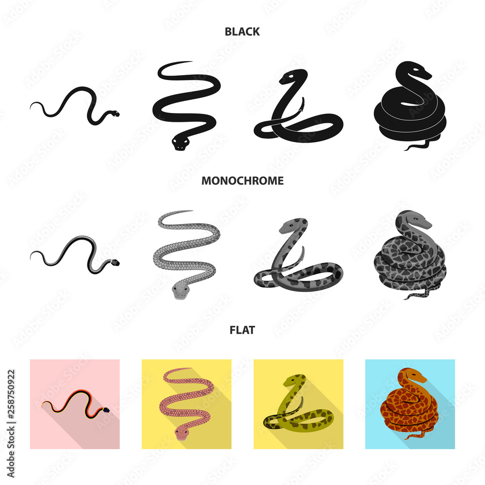 Vector illustration of mammal and danger icon. Set of mammal and medicine vector icon for stock. Vector illustration of mammal and danger icon. Set of mammal and medicine vector icon for stock.