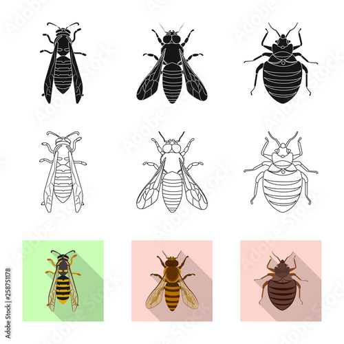 Isolated object of insect and fly sign. Collection of insect and element vector icon for stock.