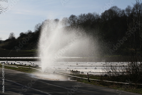 leitungsleck