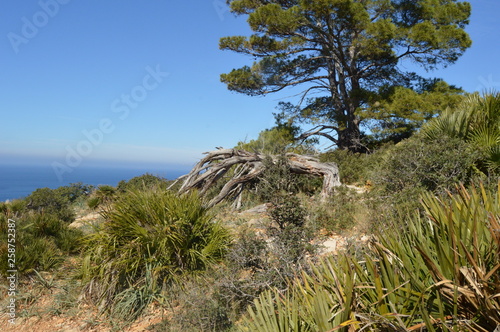Mallorca, mar, montaña, rutas, relax mar, costa pueblos, vistas