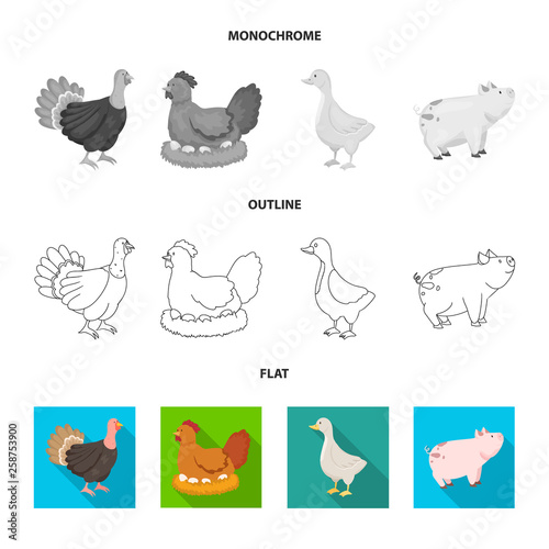 Fototapeta Naklejka Na Ścianę i Meble -  Vector design of breeding and kitchen  symbol. Collection of breeding and organic  stock vector illustration.