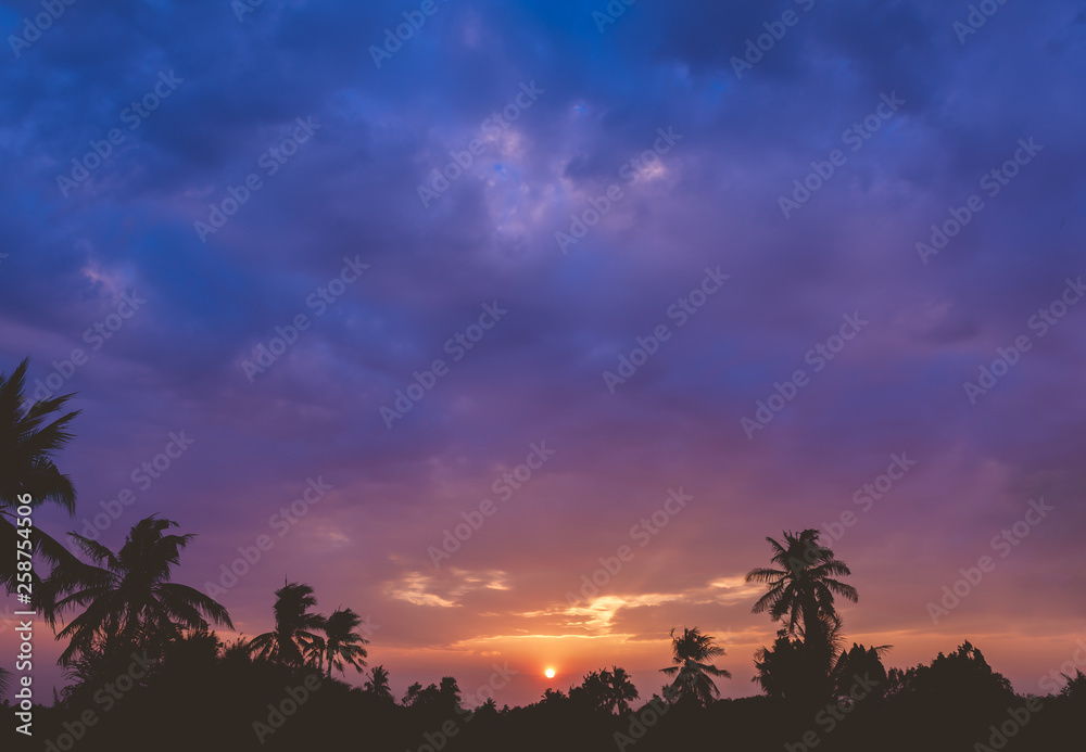 Sunset Sunrise Over Field and Coconut tree