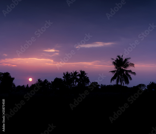 Sunset Sunrise Over Field and Coconut tree