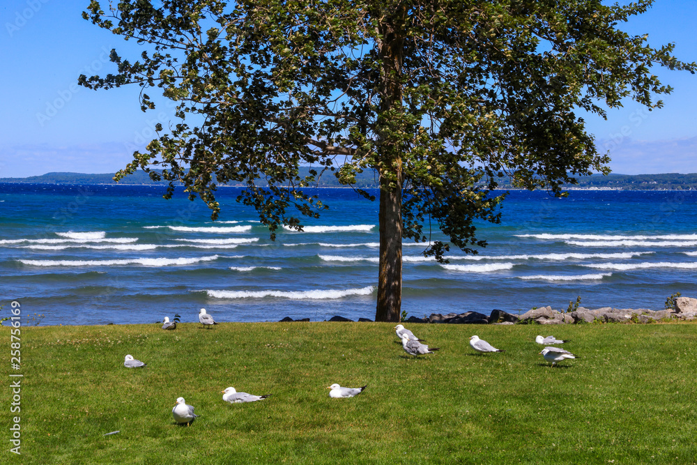 Φωτογραφία Little Traverse Bay