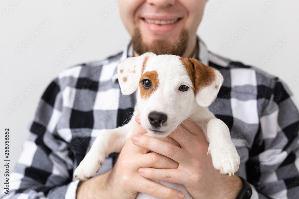 People and pet concept - Close up portrait of jack russell terrier puppy sitting on the man's hands People and pet concept - Close up portrait of jack russell terrier puppy sitting on the man's hands