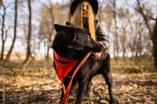 Beautiful woman stroking her dog outdoors. Pretty girl playing and having fun with her pet by name Brovko Vivchar photo