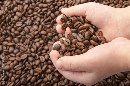 Coffee beans in hands with love heart on coffee background. Roasted coffee beans background