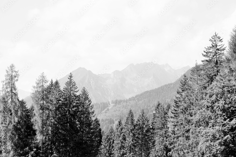 Obraz premium Paesaggio montano