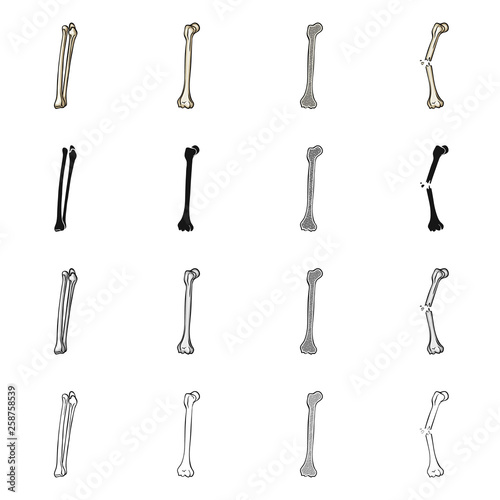 Vector illustration of medicine and clinic logo. Set of medicine and medical stock symbol for web.